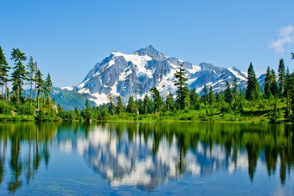 The lake reflects the green forest in the blue mountains