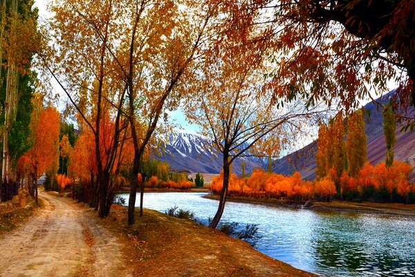 Bright autumn trees and a mountain river