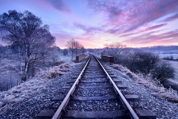 Paysage de la nature et chemin de fer