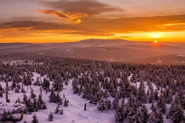 Puesta de sol en las montañas. Bosque de invierno