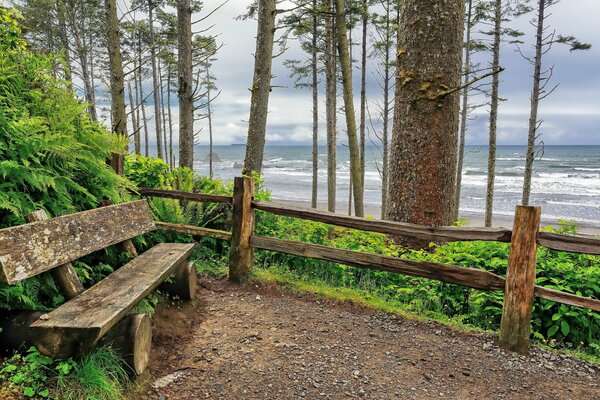 Oceanfront at Ruby Beach washington