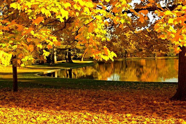 Der Geruch und die Schönheit des goldenen Herbstes