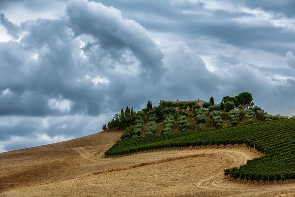 Naturaleza antes de la lluvia. Paisaje con campo