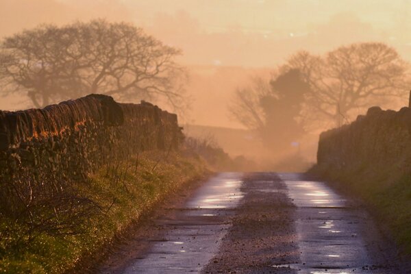 Brume matinale chaude. Paysage avec route