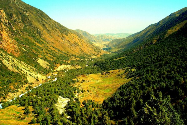 Gorgeous mountains covered with green forests a riot of nature