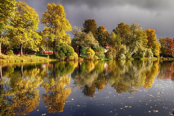 Paisaje de otoño con estanque y nubes