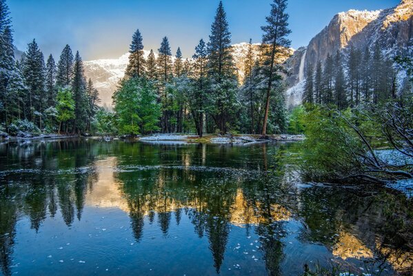 Nature fragile dans le parc National de Californie