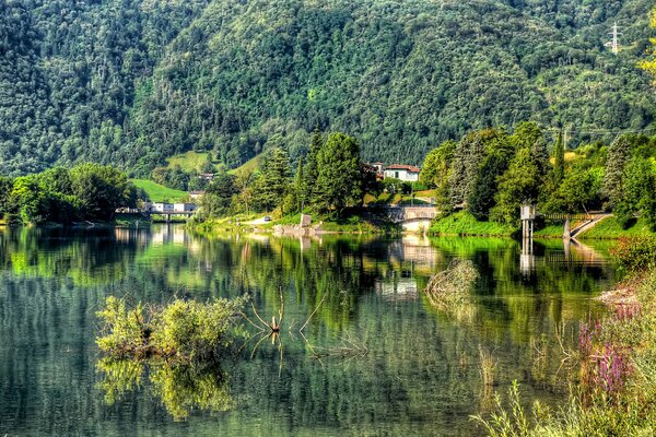 Villaggio sul lago ai piedi di una montagna con una vegetazione lussureggiante