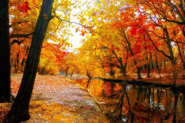 Herbstfarben. Der Fluss. Die Natur