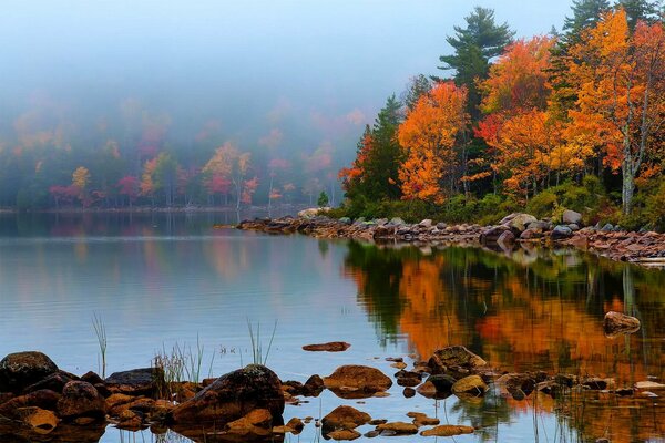 Paysage d automne au bord du lac