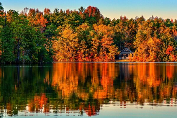 Arquitectura del bosque de otoño en el agua