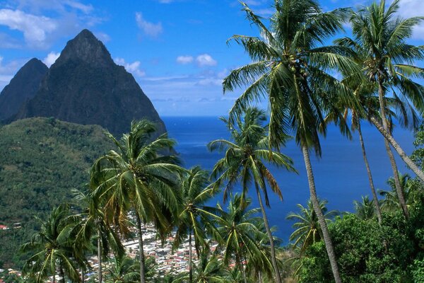 Caribbean piton Mountain à St. Lucia