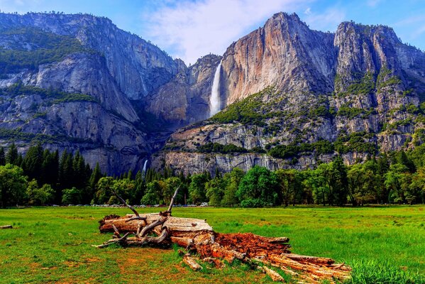 Summer landscape on the background of mountains