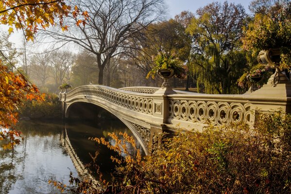 Hermoso paisaje de otoño de la naturaleza