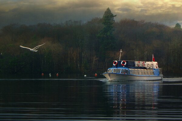 A ship sailing in the wake of a seagull