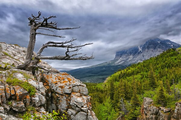 Glacier: National Park