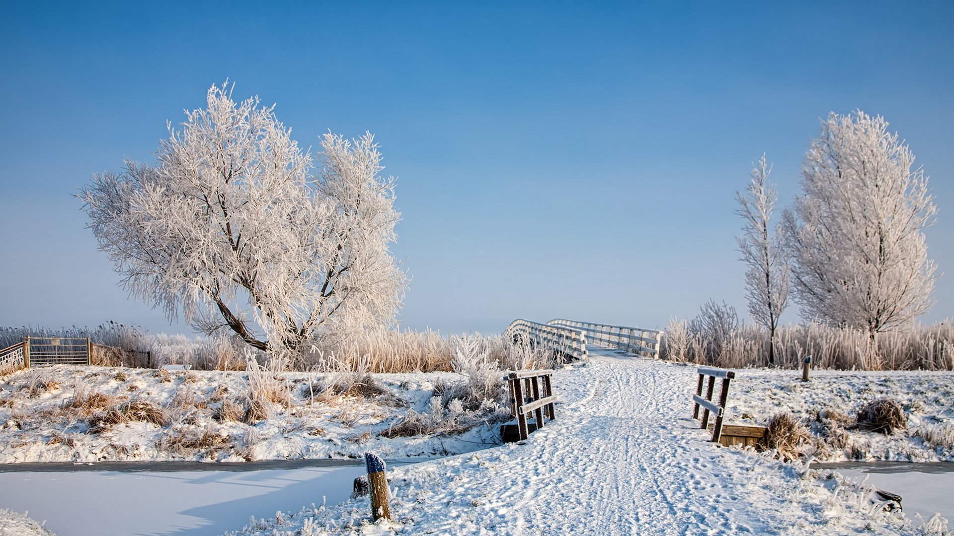 zima śnieg most krajobraz