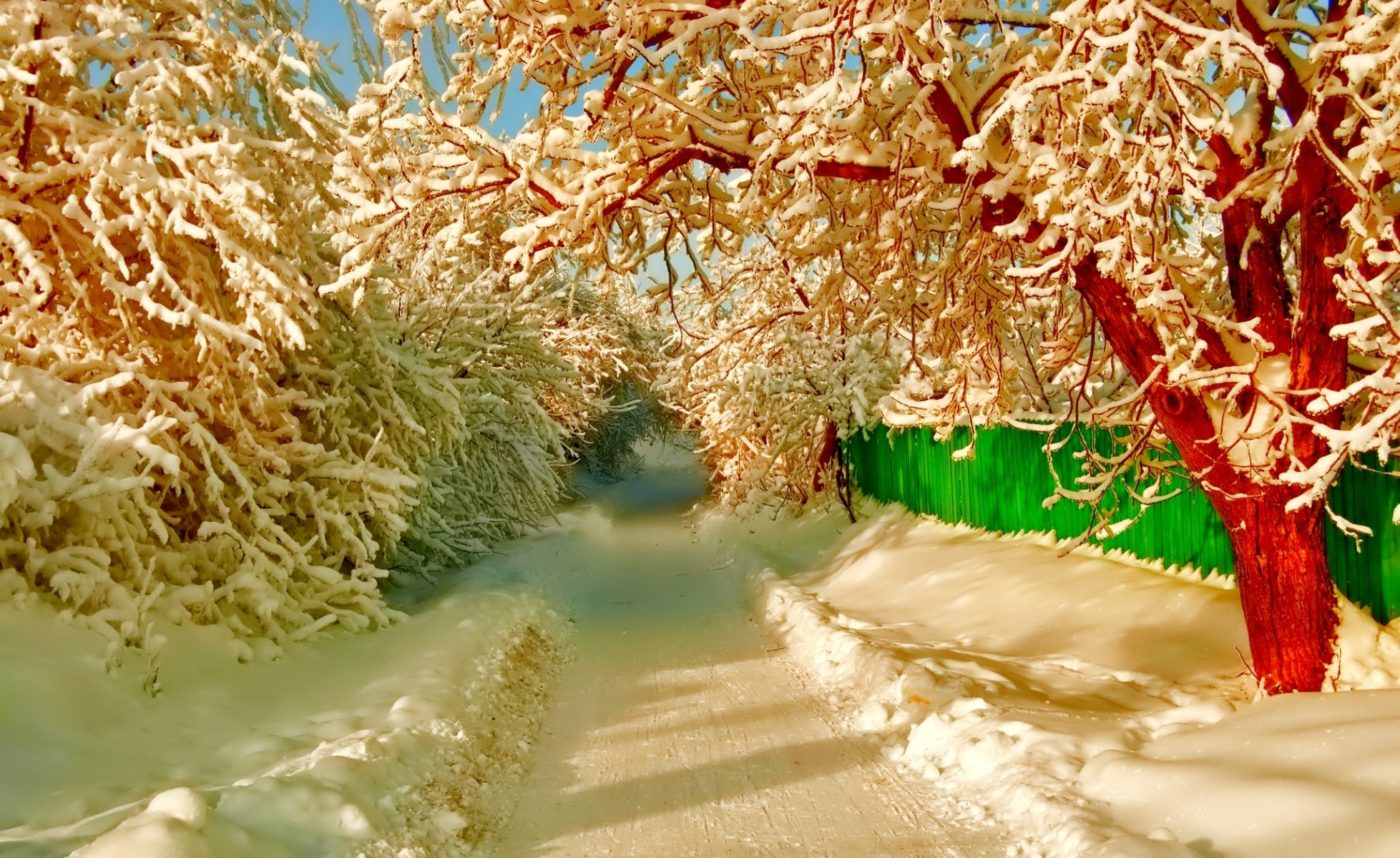 inverno neve strada strada recinzione alberi