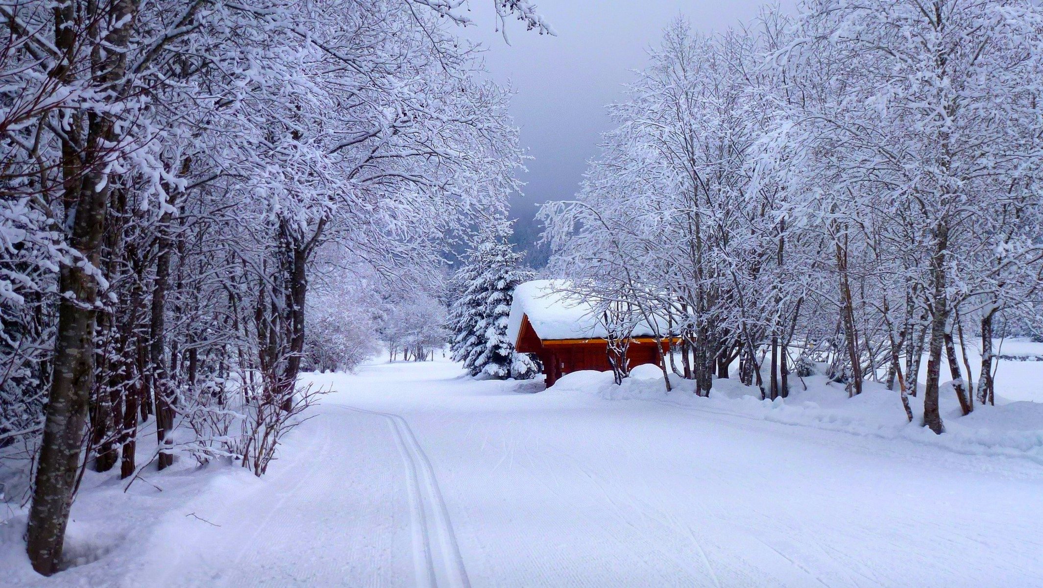 natura strada casa foresta inverno neve cielo paesaggio inverno bianco fresco bello