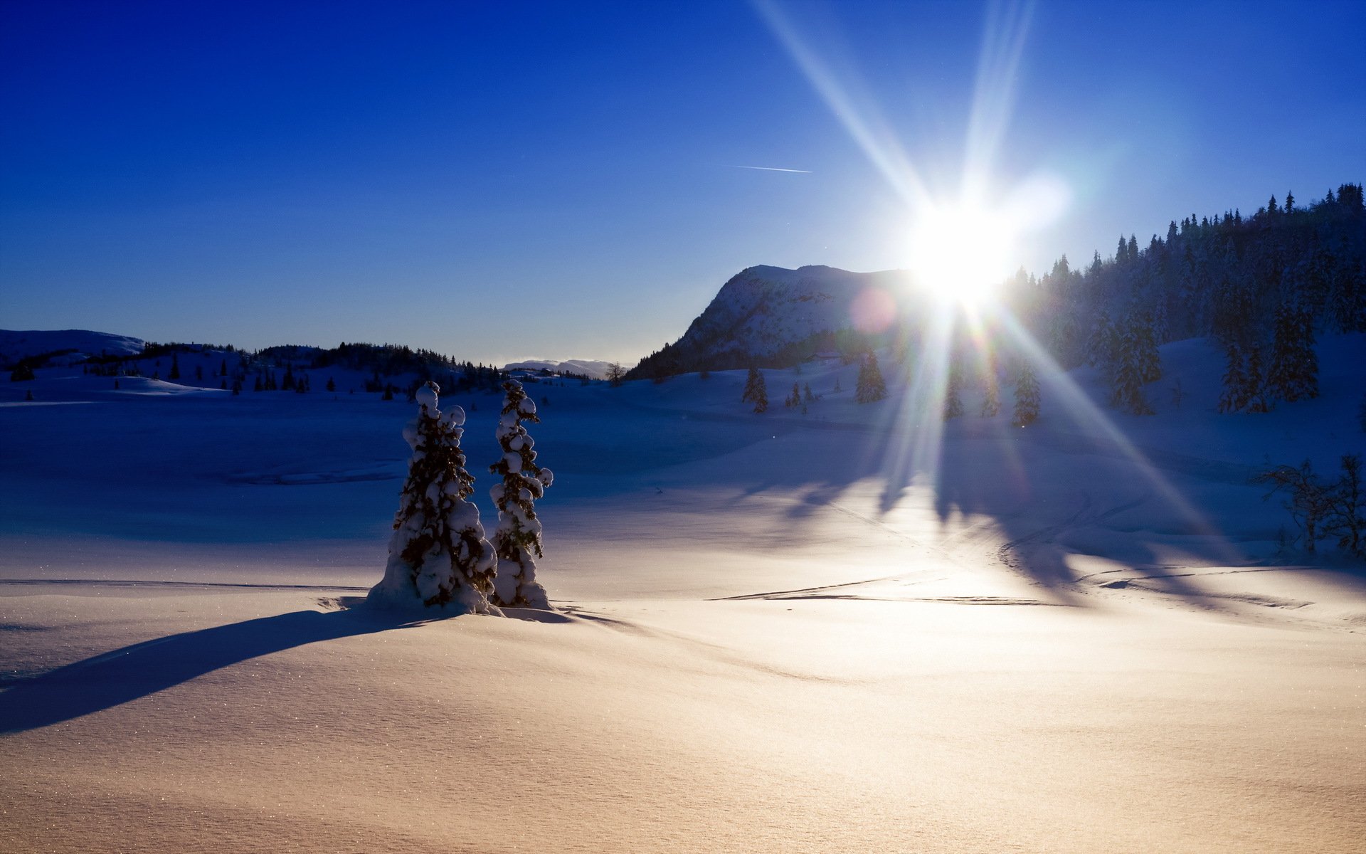 hiver neige lumière paysage