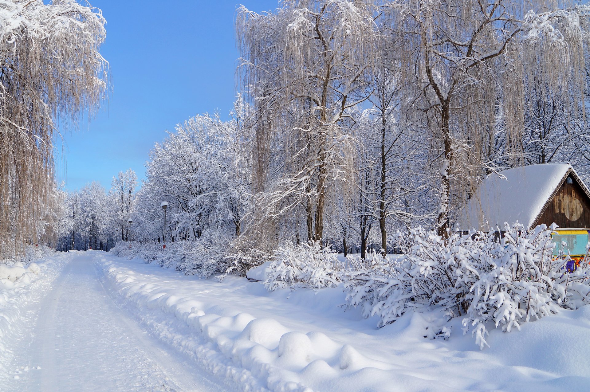hiver neige route arbres givre maison congère lanterne rue ciel