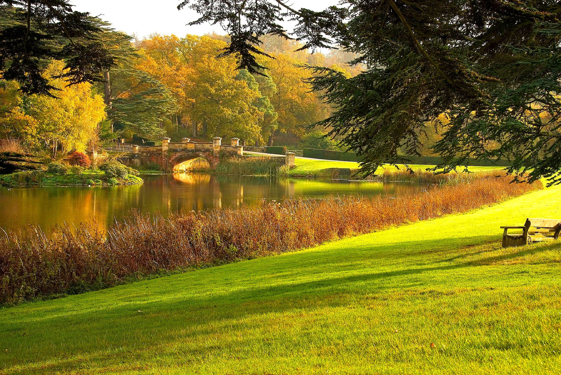 park lawn tree grass pond bridge bench autumn