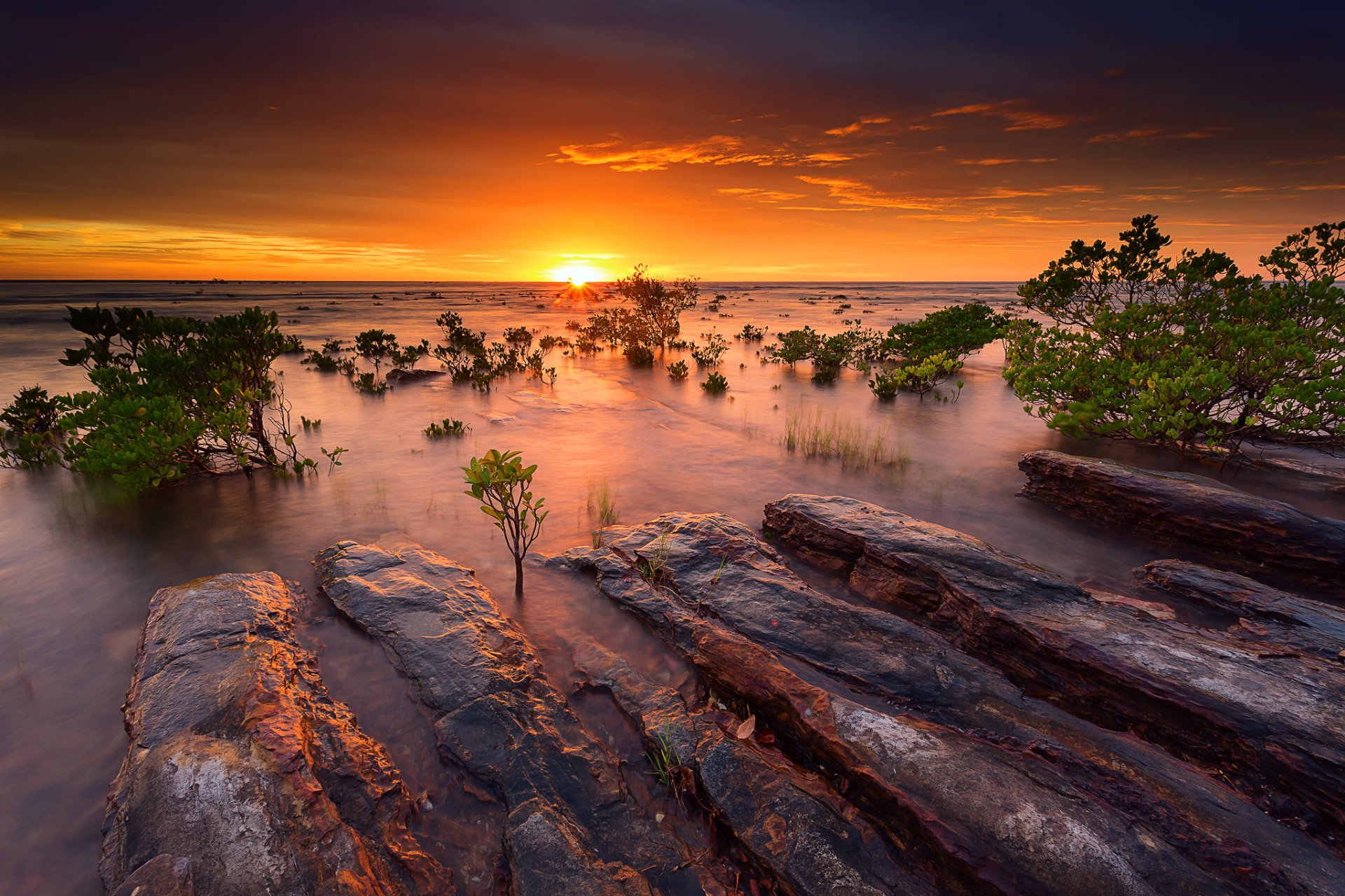 australie soir coucher de soleil mangroves mer océan eau pierres ciel soleil