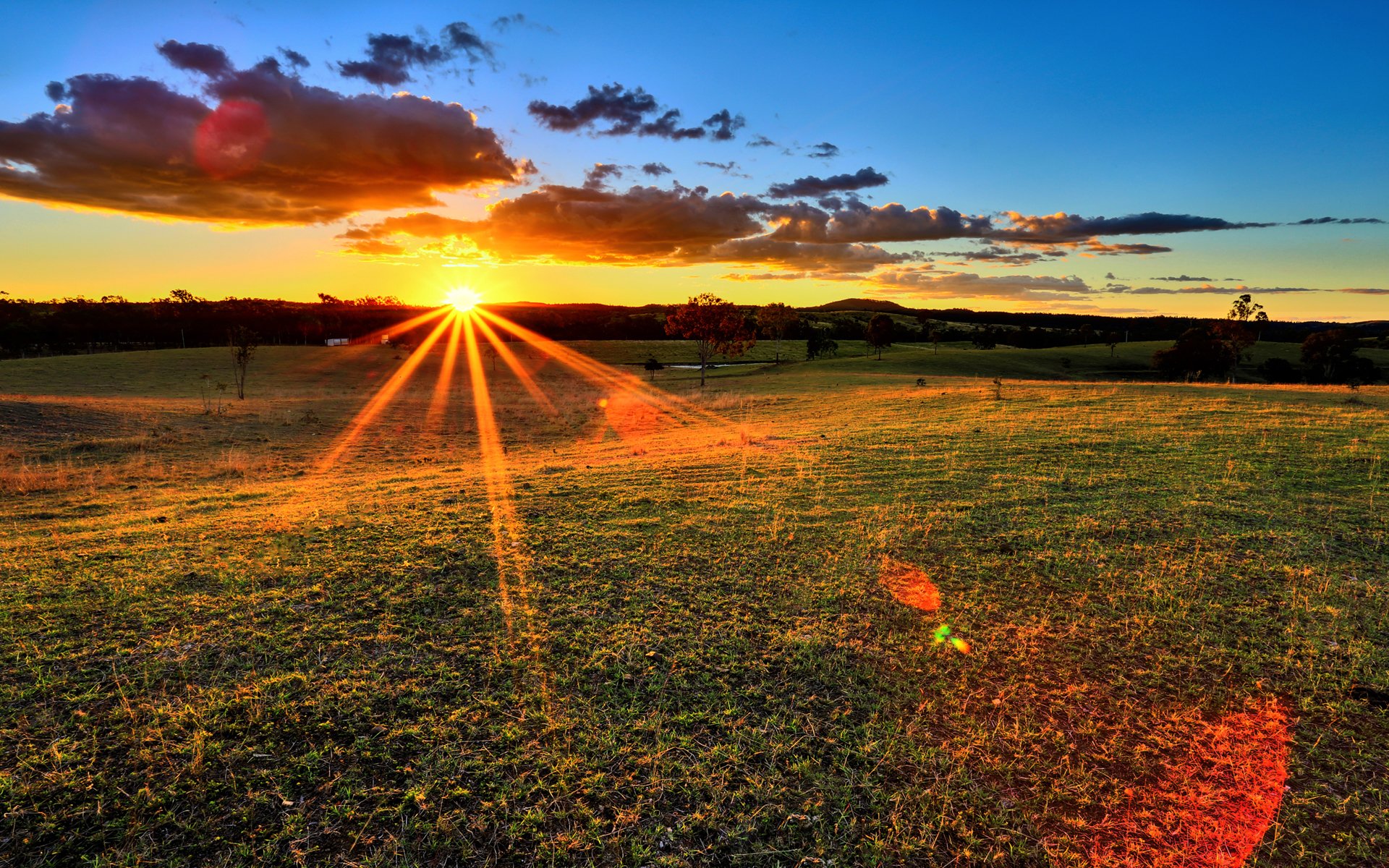 sonnenuntergang strahlen feld natur sonne gras bäume himmel wolken horizont