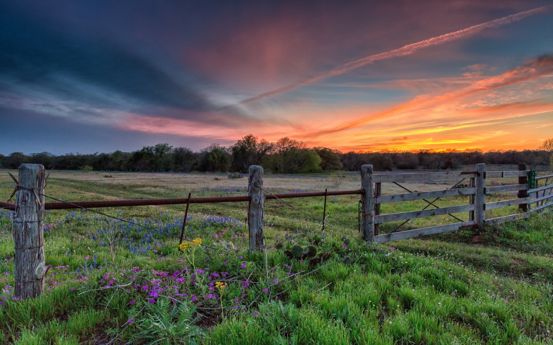 feld sonnenuntergang landschaft
