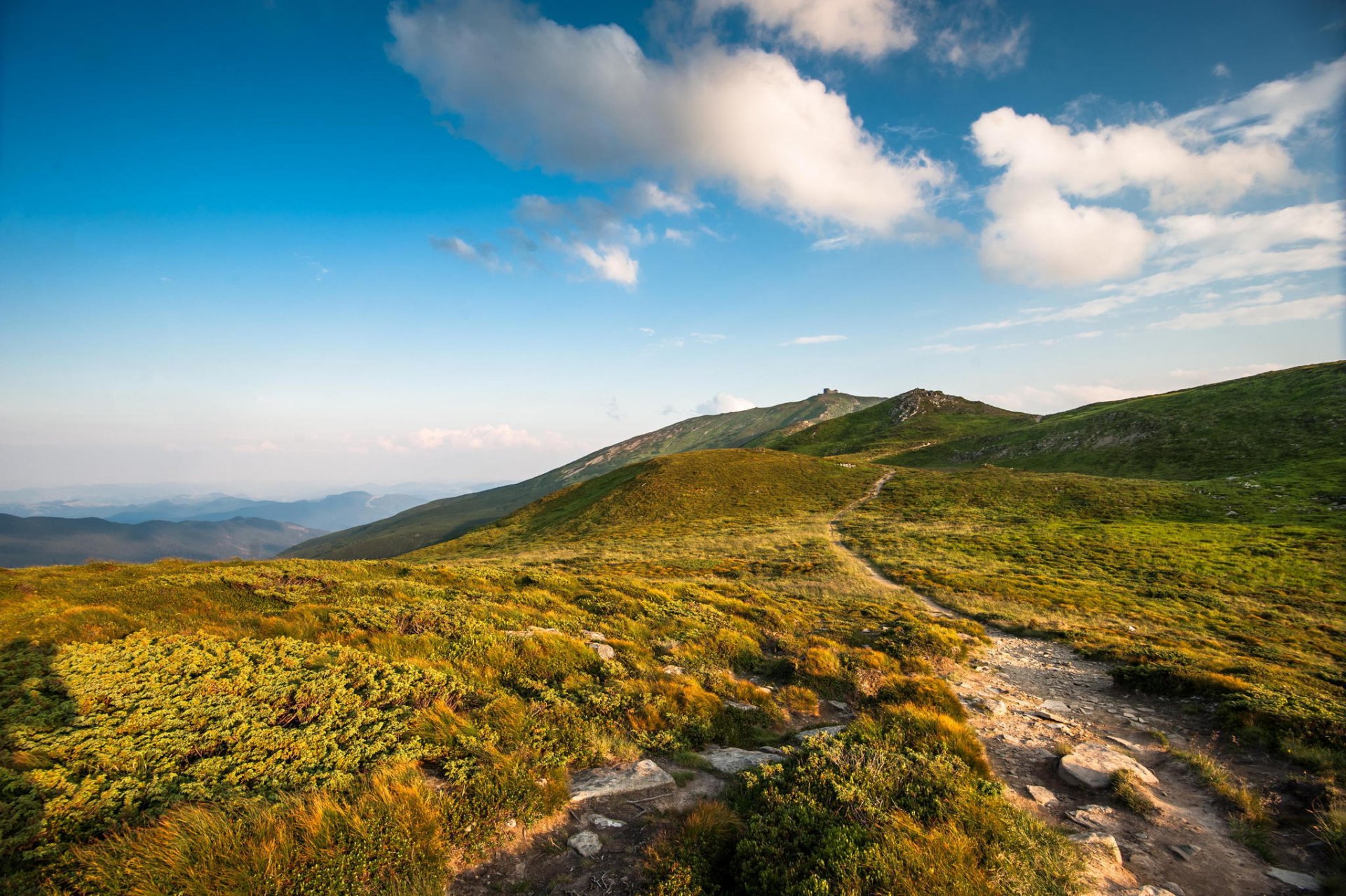 carpazi montagne ucraina natura