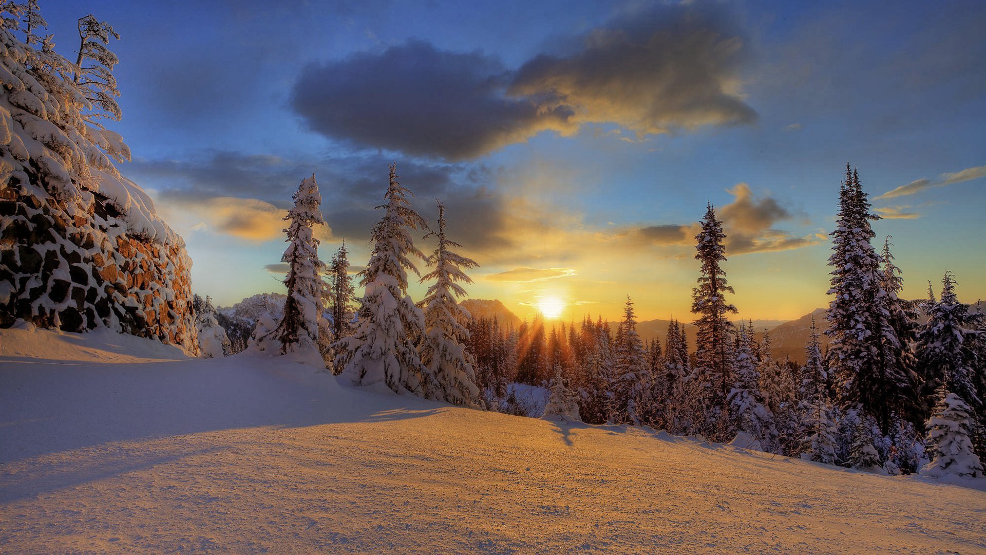 monte rainier parque nacional invierno bosque nieve montaña