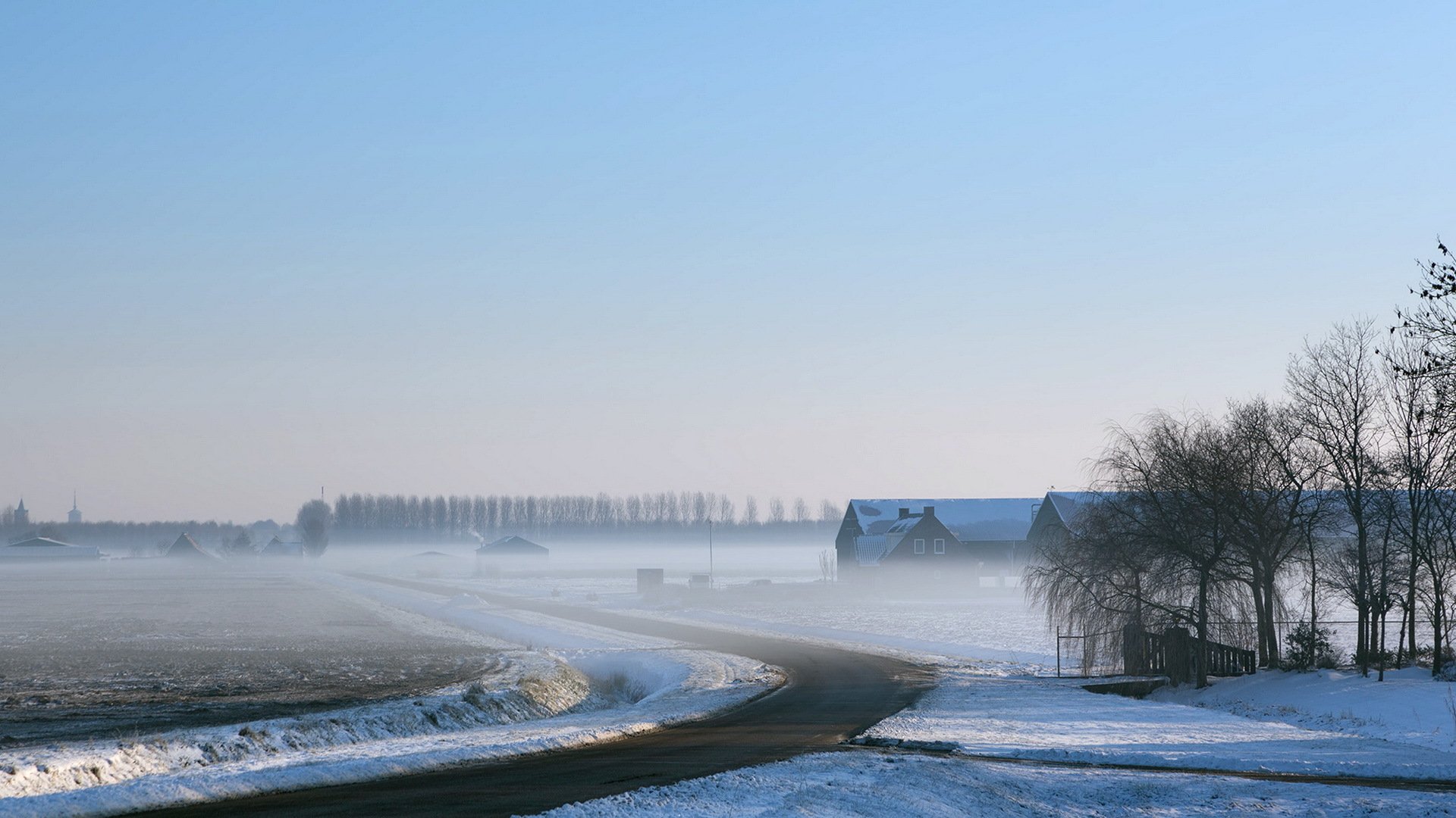 the field road fog winter