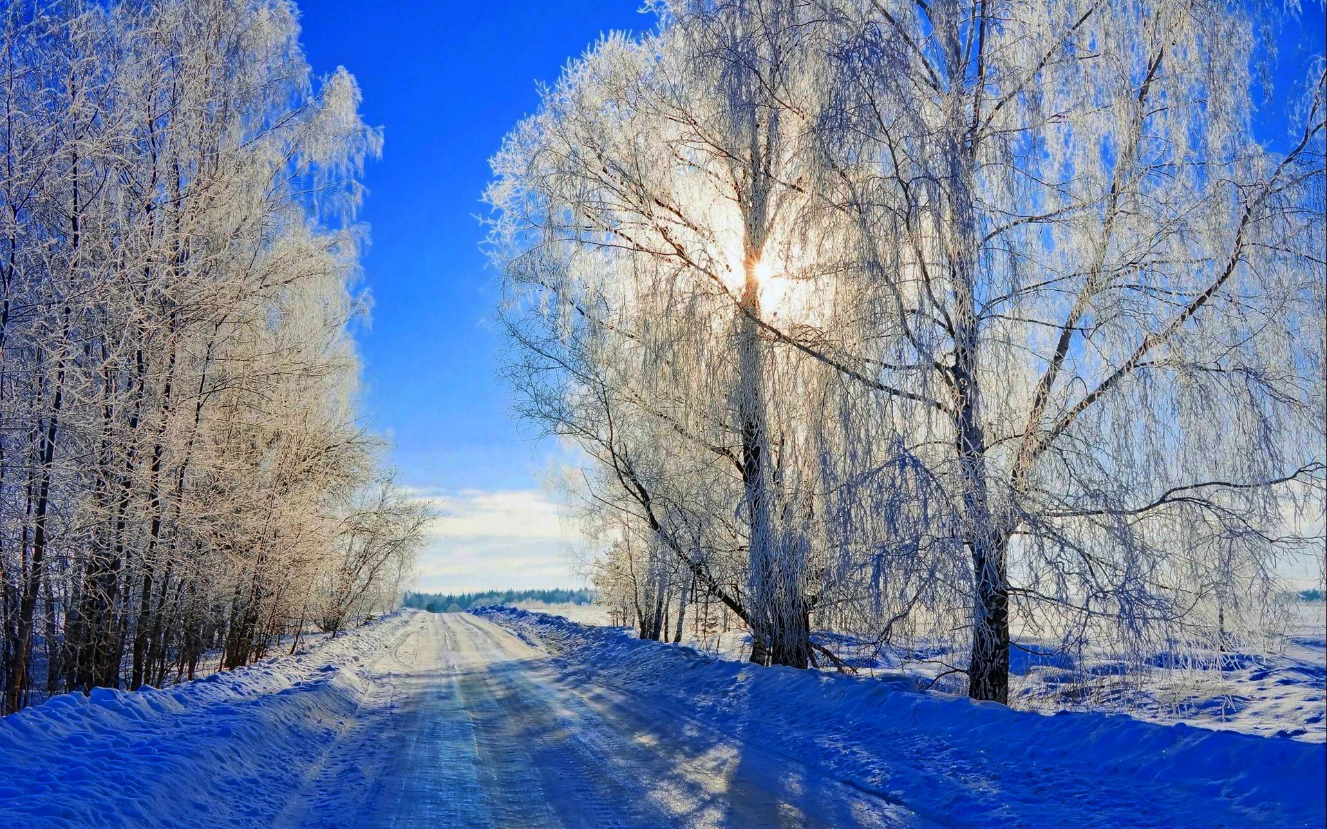 naturaleza invierno nieve carretera árboles bosque cielo paisaje invierno blanco fresco agradable puesta de sol