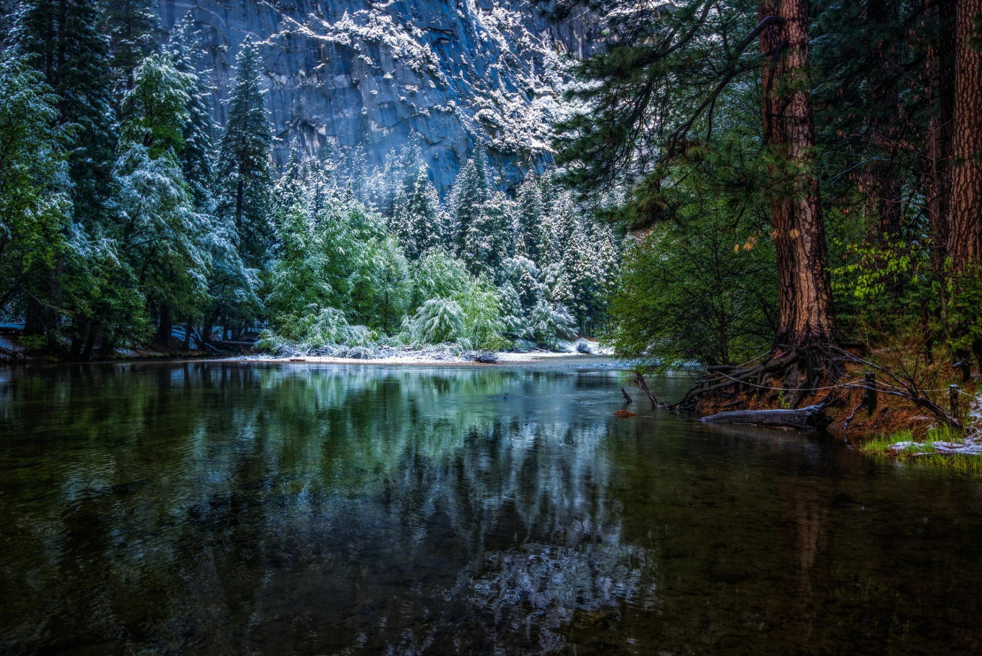naturaleza bosque invierno parque nacional río