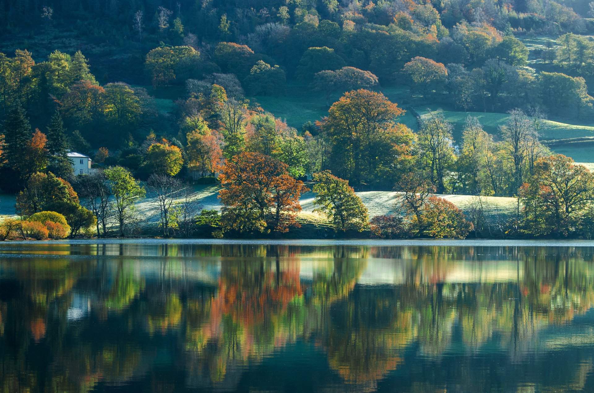 coniston cumbria england see hang bäume herbst