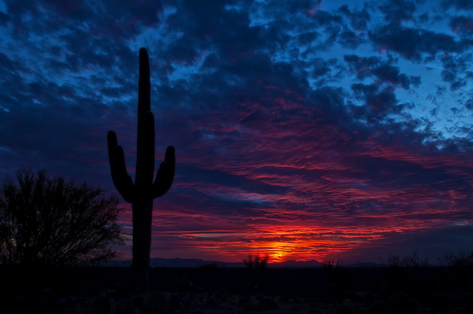 tucson arizona niebo noc kaktus