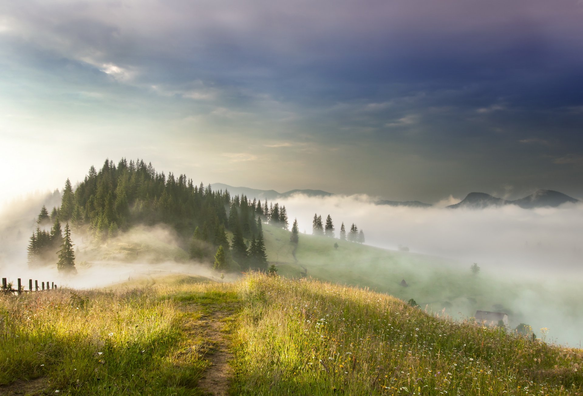 berge nebel landschaft
