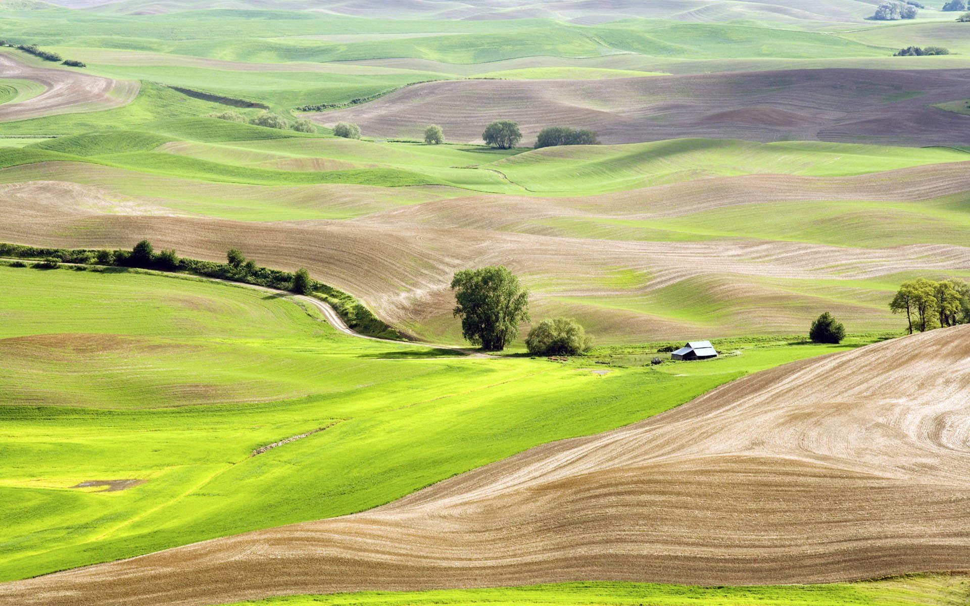 été collines champs herbe arbres maison nature