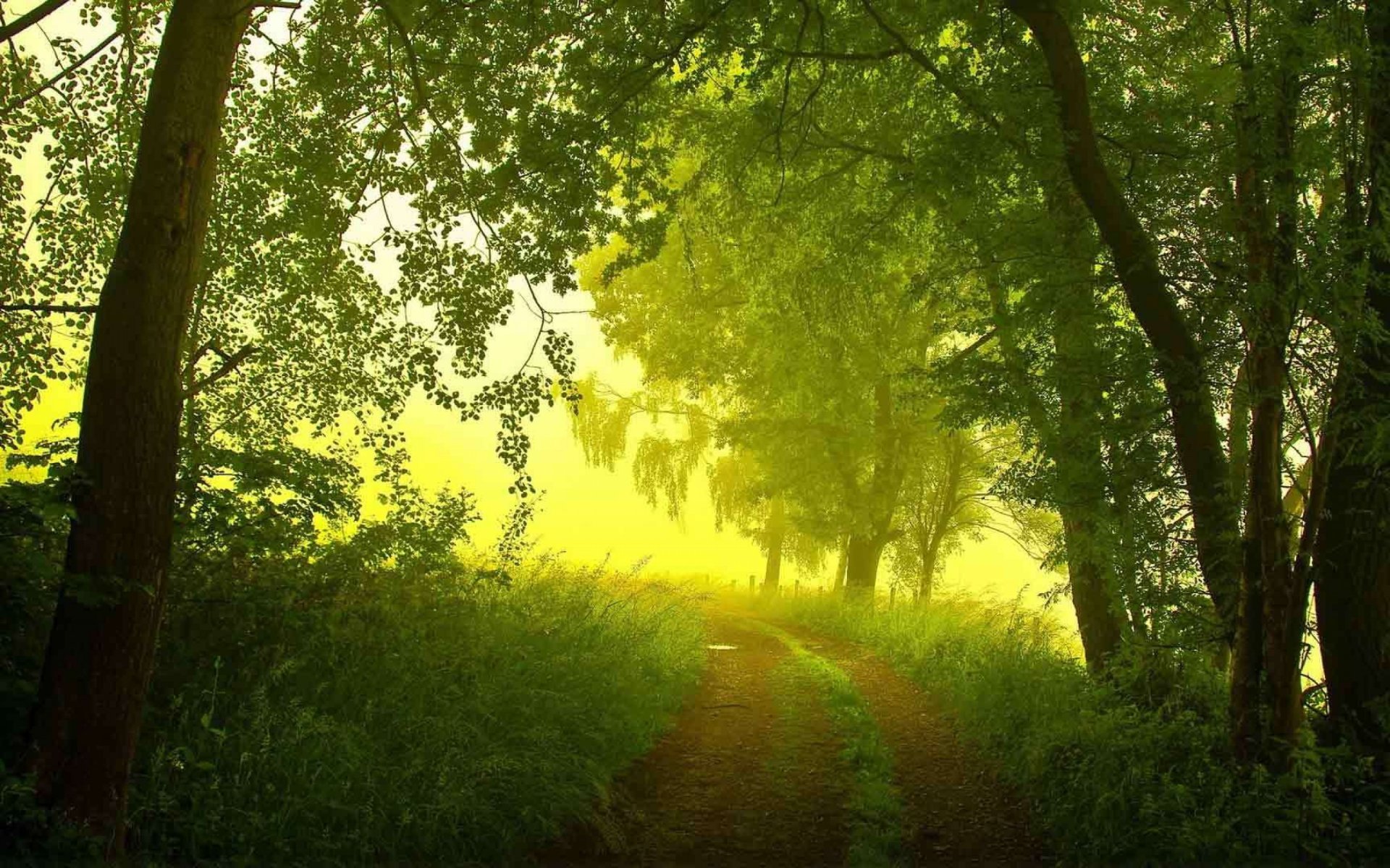 las droga światło krajobraz natura