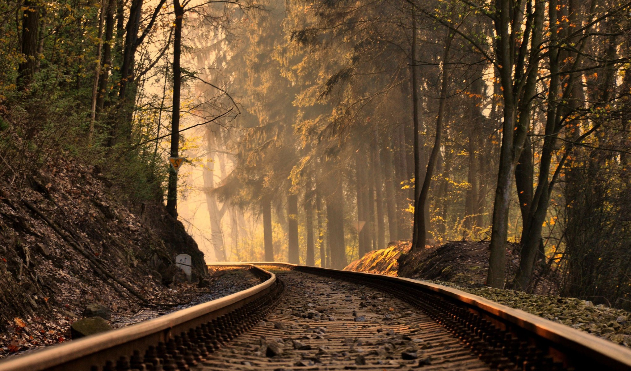 herbst wald licht eisenbahn