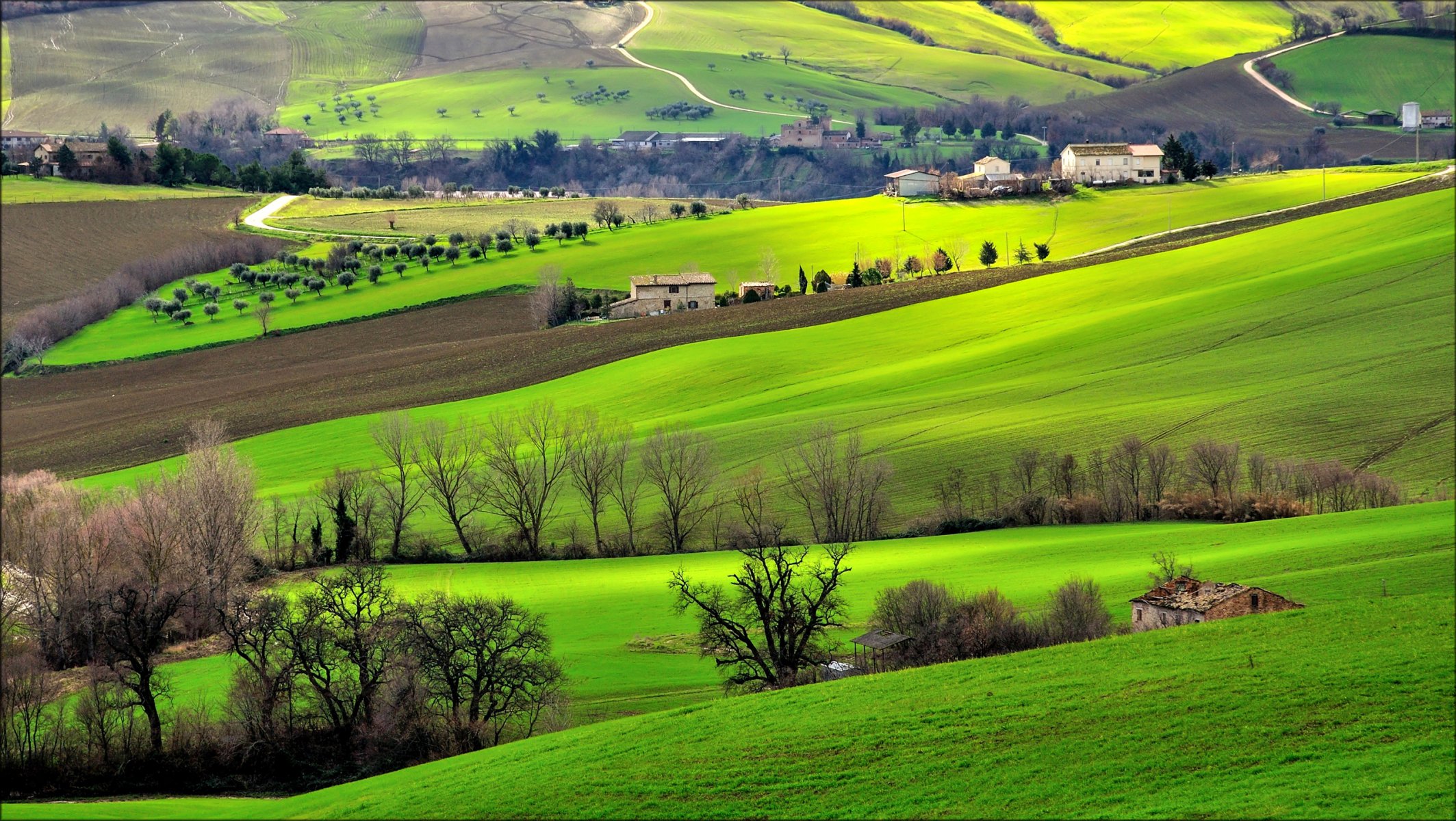 italia campagna colline erba campi alberi casa