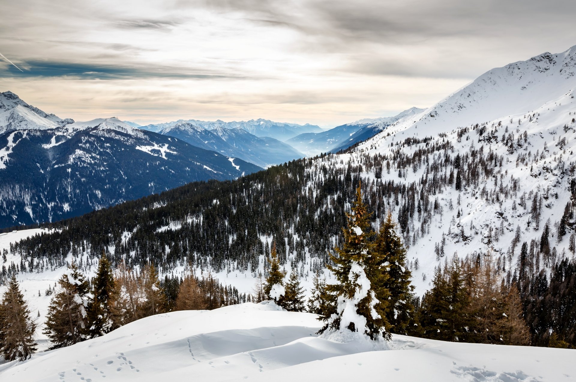 alpi alpy italia włochy góry śnieg stok drzewa choinki zima