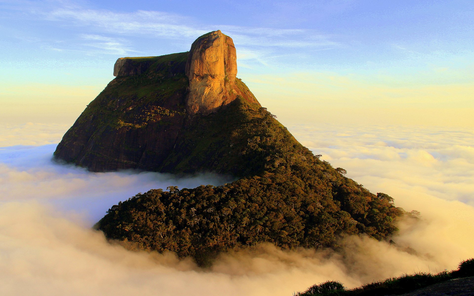 montañas bosque cumbre nubes