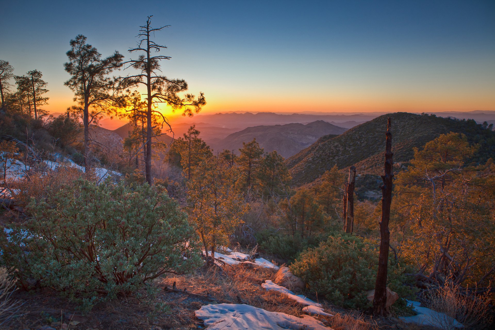 amaneceres y puestas de sol naturaleza montañas árboles nieve arbustos foto