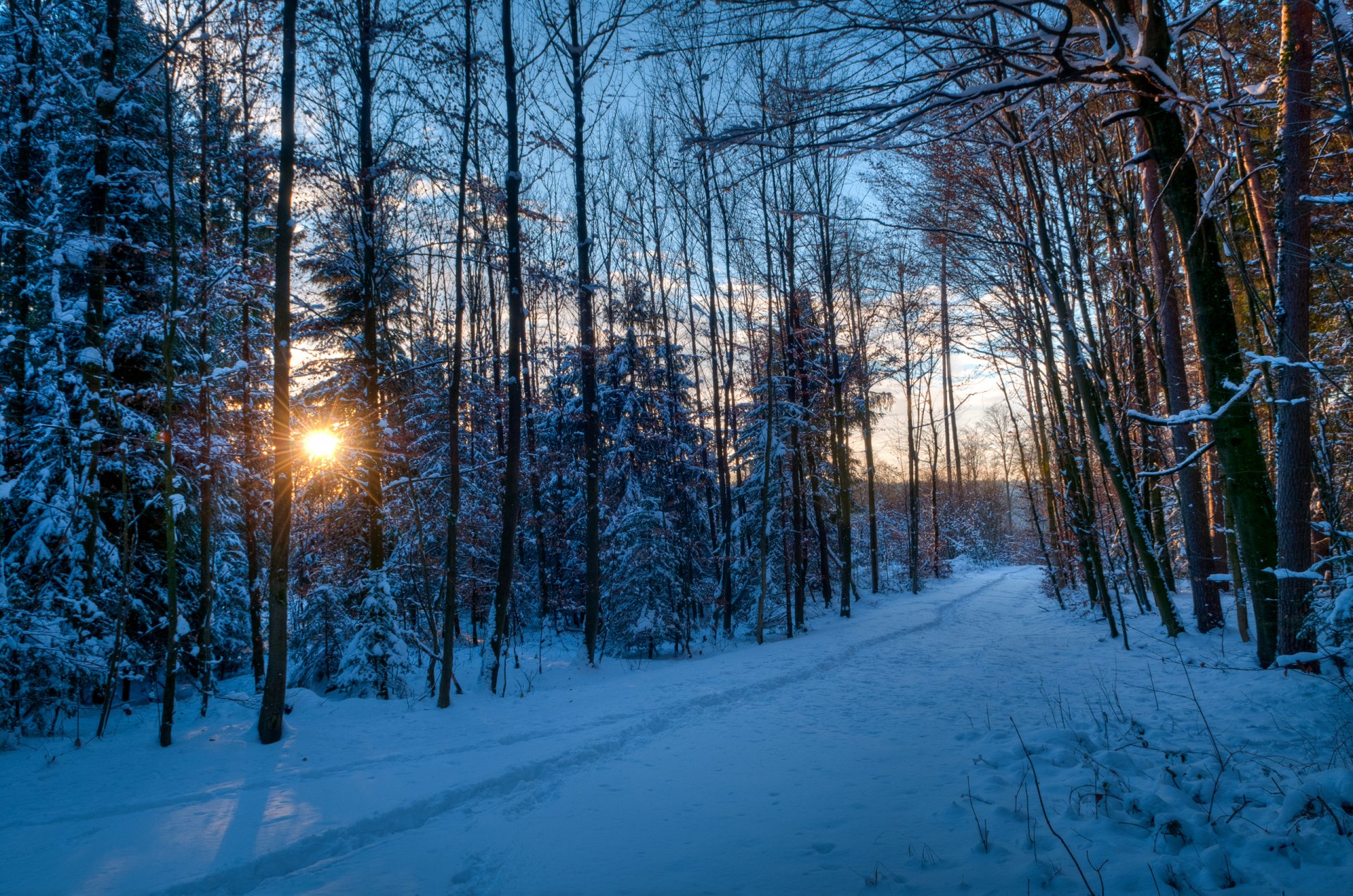 wald fußweg park gehweg spuren winter schnee bäume sonne strahlen sonnenuntergang abend