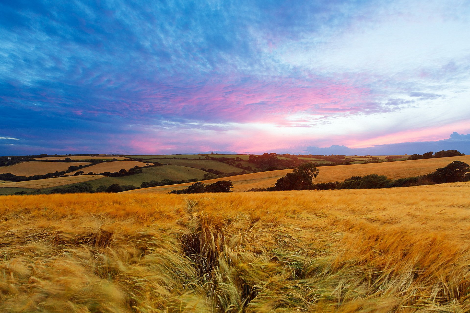 campo cielo verano paisaje
