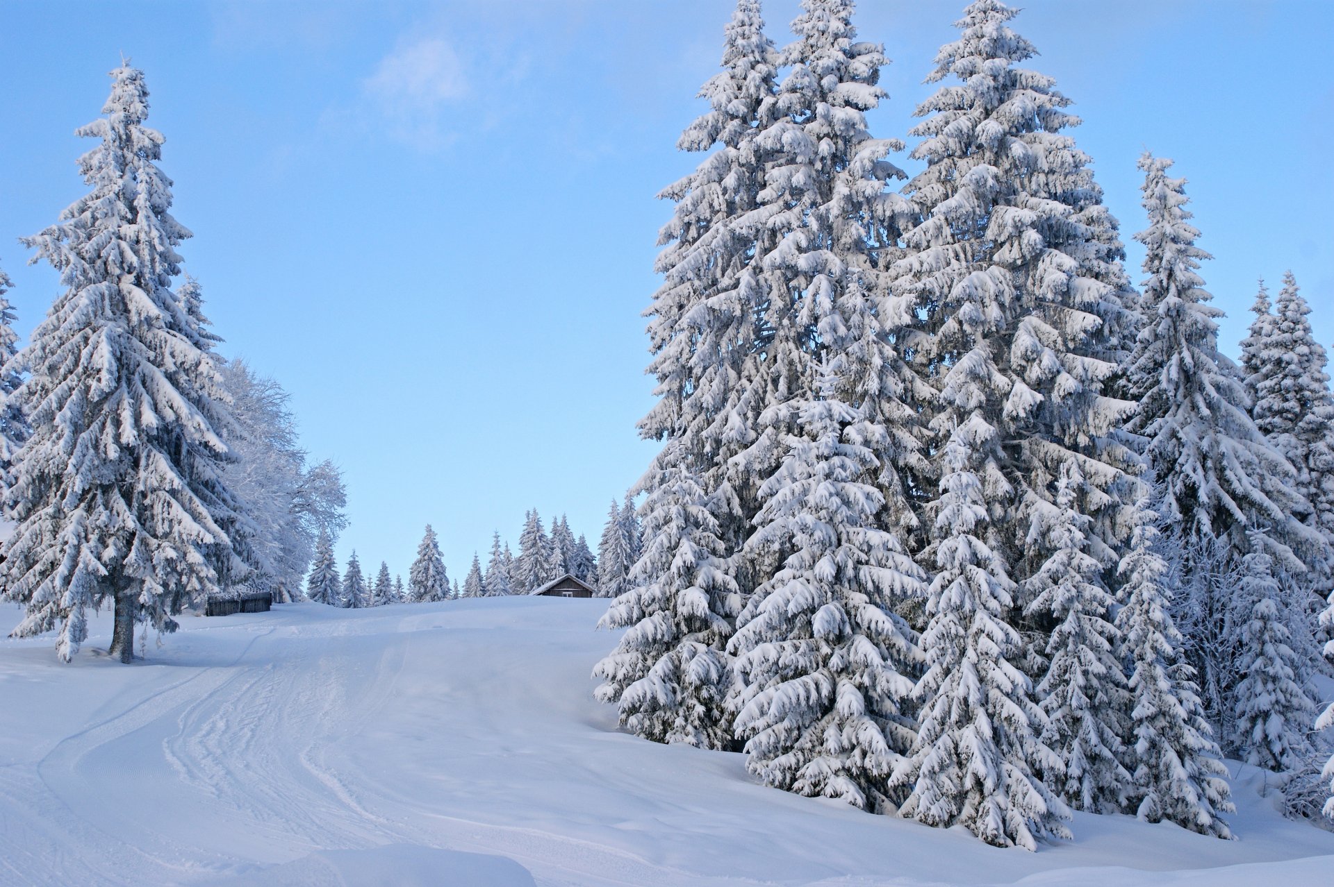 invierno nieve carretera huellas árboles cerca casa cielo