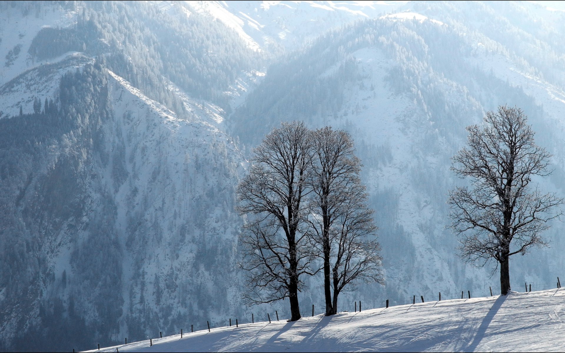 berge bäume winter zaun landschaft