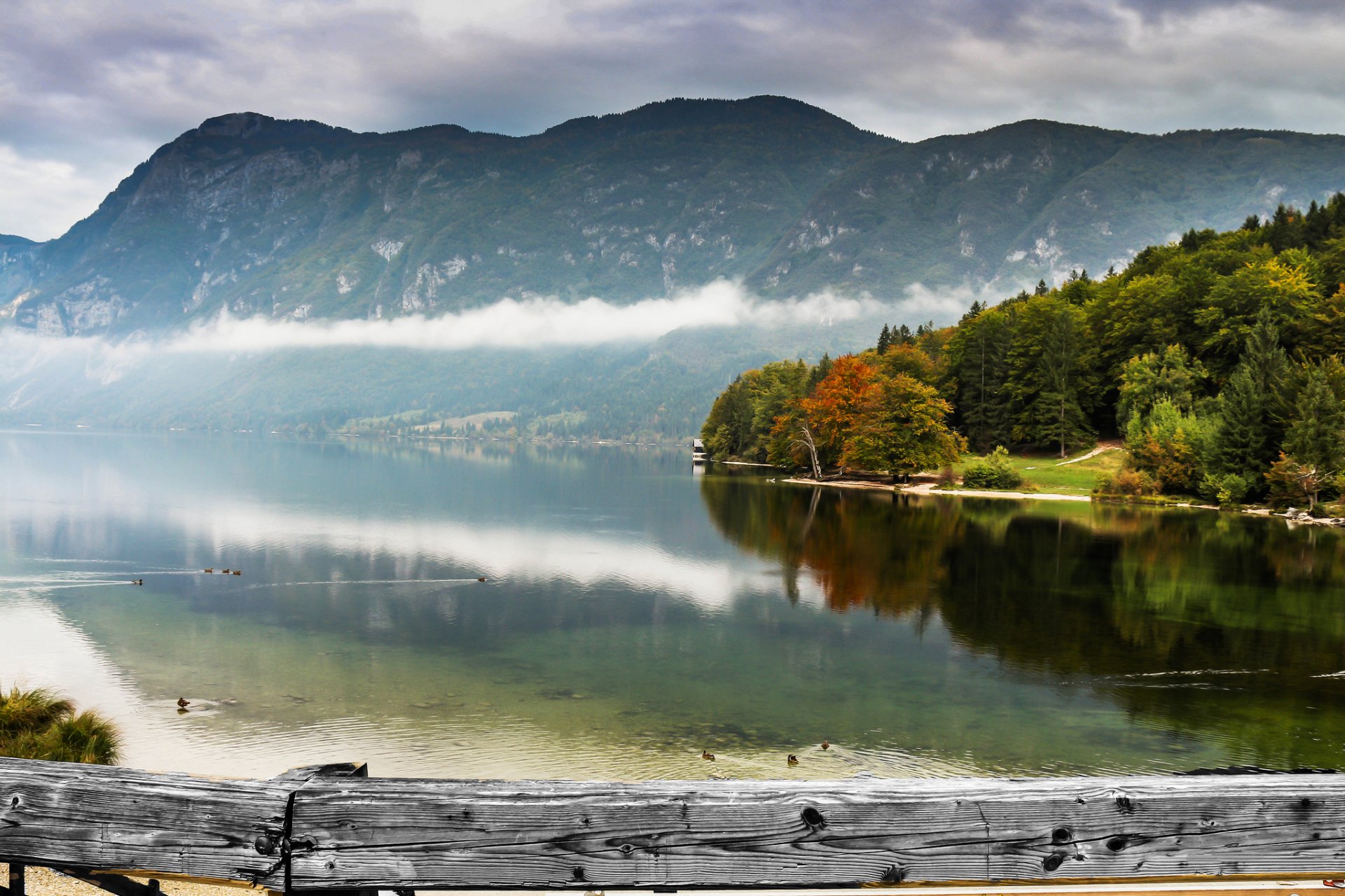 berge wald see enten nebel