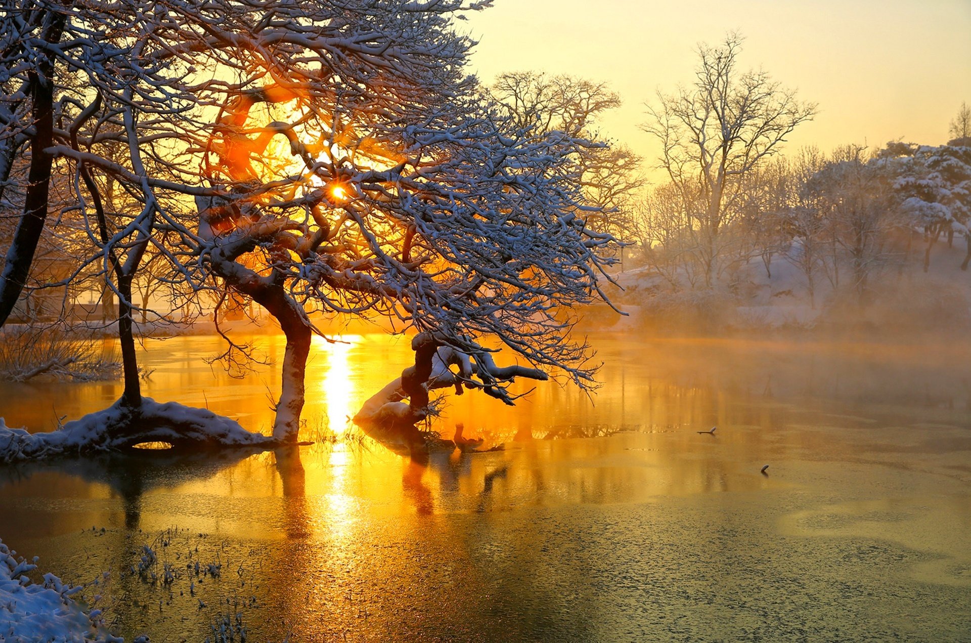 nature hdr landscape season winter view colors snow ice clouds sky sunset tree trees river winter view color river